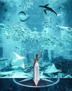 a woman standing in front of a large aquarium filled with sharks and other sea creatures