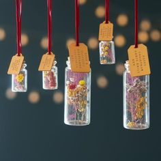 four glass jars with flowers in them are hanging from red string and tags that say, happy new year