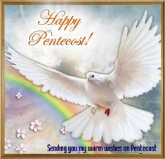 a white dove flying over a rainbow with the words happy pentesi on it