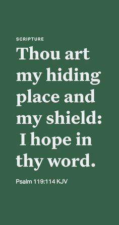 a green background with white lettering that reads, thou art my hiding place and my shield i hope in thy word