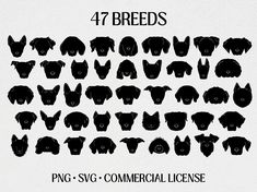 the silhouettes of different breeds of dogs and cats are shown in black against a white background