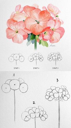 Beginner Art Drawing Step By Step, Watercolor Flower Beginner, Pencil Art Flower Drawings, How To Draw A Cute Flower, How Draw Flowers, Easy Color Pencil Drawings For Beginners, How To Sketch Flowers, Color Pencil Art Flowers, Flower Pencil Sketches