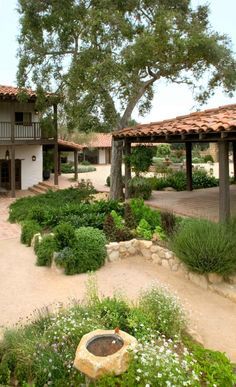 an outdoor courtyard with trees and plants around it