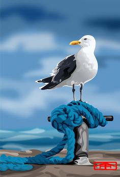 a seagull sitting on top of a fire hydrant next to the ocean