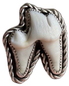 Unique Bone-colored Sterling Silver Jewelry, Unique Bone Colored Sterling Silver Jewelry, Handmade Sterling Silver Jewelry In Bone Color, Hand Cast White Sterling Silver Jewelry, Tooth Ring, Ring Pictures, Madison Wi, Ring Sterling Silver, Sterling Ring