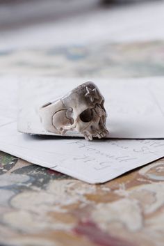 a small animal skull sitting on top of a white card