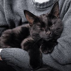 a black cat sleeping on top of a person's arm with his eyes closed