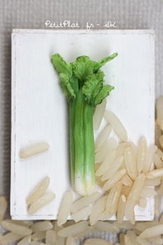 a piece of broccoli sitting on top of rice next to another piece of celery