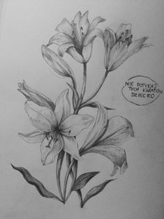 a pencil drawing of some flowers on a sheet of paper