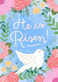 a blue card with pink flowers and a white bird in the middle that says, he is risen