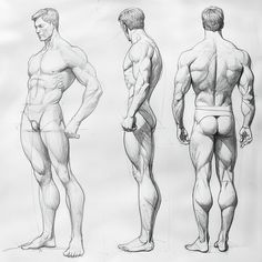 three different views of a man's body and torso