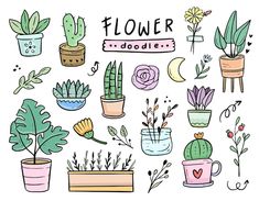 flower doodles with potted plants and succulents