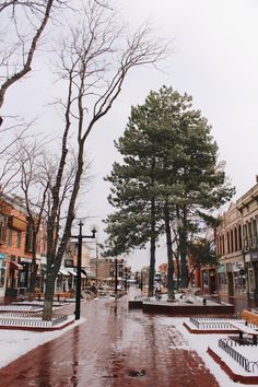 a snowy street lined with benches and trees