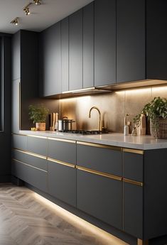 a kitchen with dark grey cabinets and gold trim on the countertops, along with potted plants