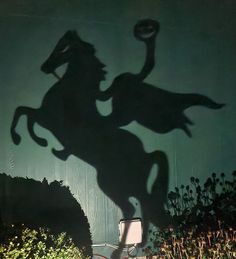 the shadow of a horse and rider is cast on a wall in front of bushes