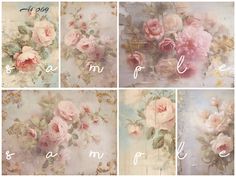 four different images of pink roses with the letters e, m, l, and f