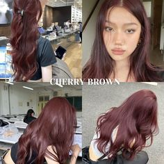 #hair #haircolor #hairinspiration #hairstyles #cherrybrown Burgundy Colour On Black Hair, Burgundy Colored Hair, Hair Colors On Asian Hair, Cherry Brown Hair Aesthetic, Cherry Brown Hair Color Burgundy, Kdrama Hair Color, Cherry Brown Hair On Pale Skin, Red Cool Tone Hair, Light Cherry Cola Hair Color