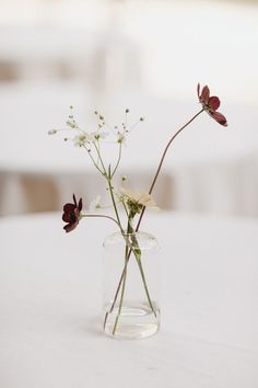 two flowers in a glass vase on a white tablecloth covered table with blurry background