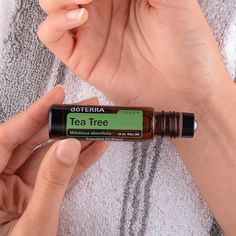 Doterra Tea Tree, Melaleuca Alternifolia, Doterra Essential Oils, Tea Tree, Doterra, Essential Oils, Nails