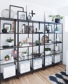 a living room filled with lots of furniture and plants on top of bookshelves