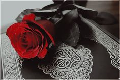 a single red rose sitting on top of a black and white book with arabic writing