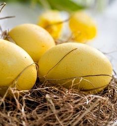 four yellow eggs in a nest on a table