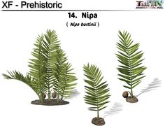 three different types of plants in dirt and grass with the words xf - prehistic