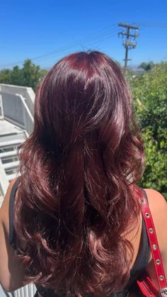 Ruby Red Hair, Ruby Hair, Black Cherry Hair, Cherry Hair Colors, Wine Hair Color, Wine Red Hair, Red Hair Inspo, Red Curly Hair