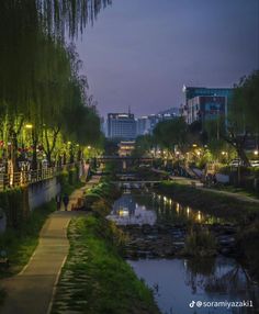 people are walking along the river at night in an urban area with tall buildings and trees