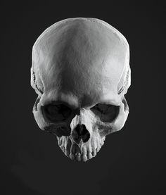 an x - ray image of a human skull in black and white