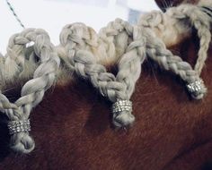 braided manes on the back of a brown horse