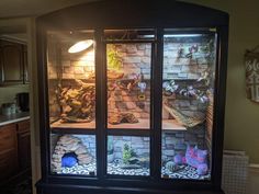 a display case filled with lots of different types of animals in it's glass doors