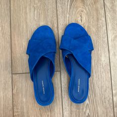 Brand New, Never Worn Mansur Gavriel Shoes. Size 36 Or Us Equivalence Of 6. Originally Around $350 But Selling For $175. No Shoe Box Available Blue Suede Slip-on Mules, Designer Blue Slip-on Sandals, Blue Suede Sandals With Removable Insole, Blue Mules With Removable Insole, Blue Almond Toe Sandals For Summer, Chic Blue Sandals With Leather Sole, Blue Flat Heel Sandals With Leather Sole, Blue Sandals With Leather Sole And Flat Heel, Blue Sandals With Flat Leather Sole