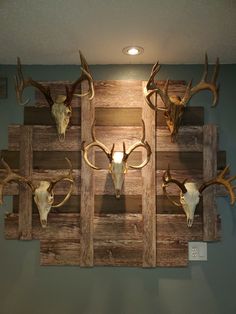 several deer heads mounted on wooden planks in a room with blue walls and lights