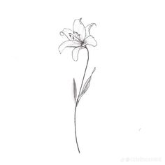 a drawing of a single flower on a white background with the words,'i love you