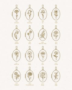 the different types of flowers are shown in this graphic style, and each flower is drawn on