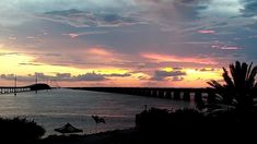 the sun is setting over an ocean with a pier in the distance and palm trees to the side