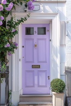 a purple front door with potted plants on the steps