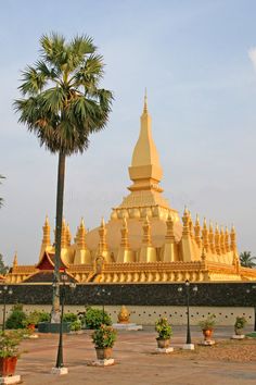 a large golden building with palm trees and potted plants in the foreground stock photo