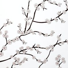 an ink drawing of flowers on a tree branch