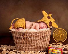 a baby in a basket with a giraffe hat and diaper next to it