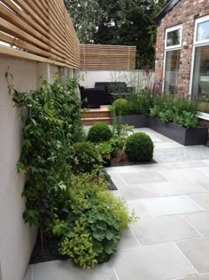 an outdoor patio area with plants and shrubs on the side of it, next to a brick building