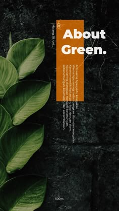 an orange and black advertisement with green leaves