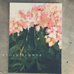 a painting of pink and white flowers with the words stockflower on it's side