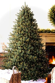 a christmas tree in a living room next to a fireplace