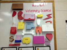 Vet science word wall 4h Vet Science Project Ideas, Middle School Agriculture, High School Door Ideas, Vet Science 4h Project, Vet Science Activities, Ag Classroom Ideas, Word Wall Ideas