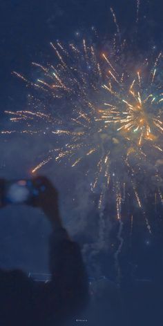 a person taking a photo of fireworks with their cell phone