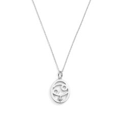 Zodiac Necklaces - a celestial blend of style and symbolism. Crafted with precision, each piece represents the unique traits of your zodiac sign. Available in silver and gold finishes, these necklaces aren't just accessories; they're personal talismans. Elevate your everyday look or gift a special someone with the stars' elegance. Celestial Style Silver Tarnish Resistant Necklace, Celestial Silver Tarnish Resistant Charm Necklace, Silver Celestial Necklace Tarnish Resistant, White Gold Zodiac Sign Necklace For Gift, Celestial Silver Tarnish-resistant Necklaces, White Gold Celestial Zodiac Necklace, Symbolic Zodiac Sign Medallion Necklace, Celestial White Gold Zodiac Sign Necklace, Silver Celestial Tarnish-resistant Necklaces