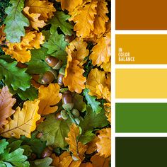 an image of autumn leaves and acorns in color palate palette swatches