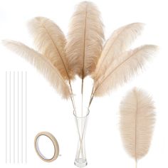 some white feathers are in a glass vase next to a pair of scissors and tape